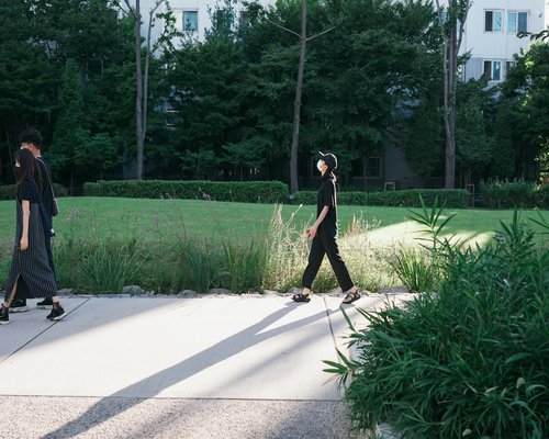 Calm urban park walk representing daily wellness